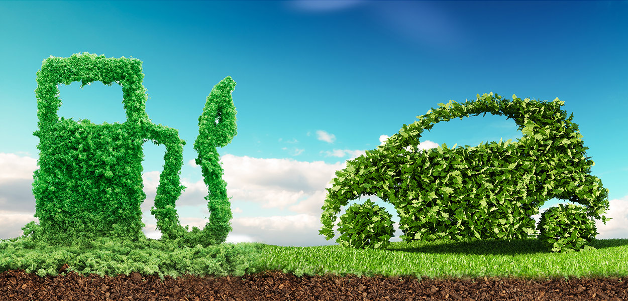 मेथनॉल अर्थव्यवस्था