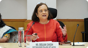 Workshop to Introduce Startups to the National Data and Analytics Platform (NDAP) image 2