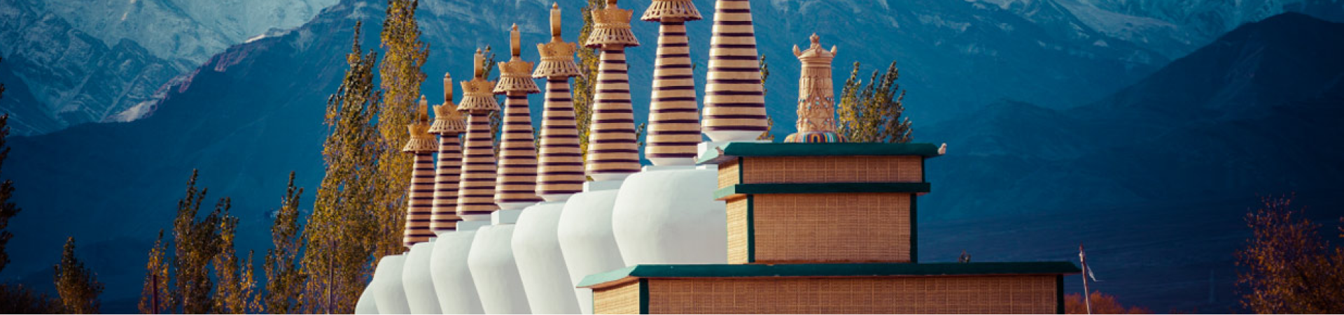 Sustainable Development in the Indian Himalayan Region