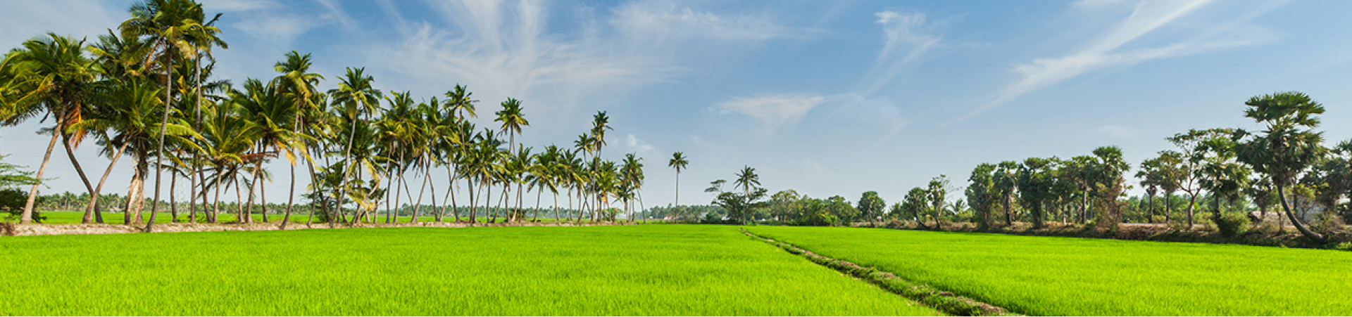 Task Force on Production and Promotion of Biofertilizers and Organic Fertilizers