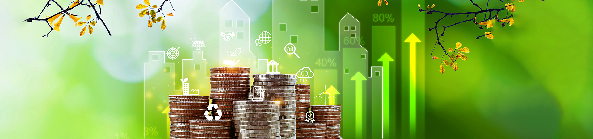 Centrally Sponsored Schemes