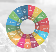 India Policy Insights